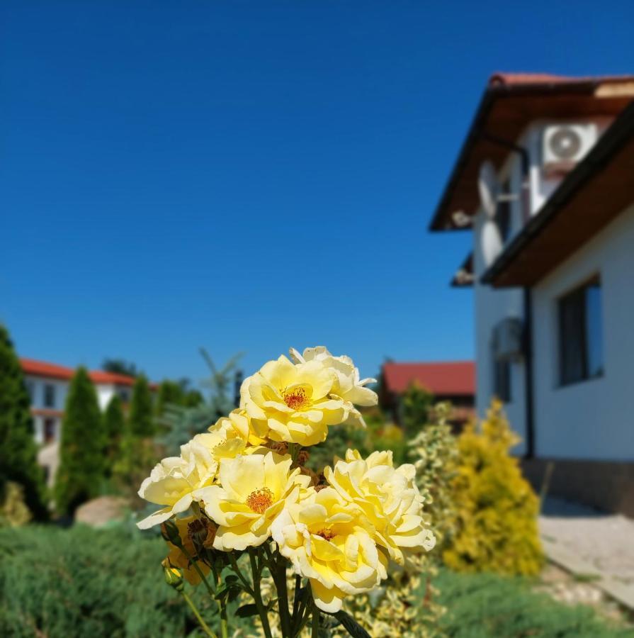 Pensiunea Paradiso Sarinasuf Екстериор снимка