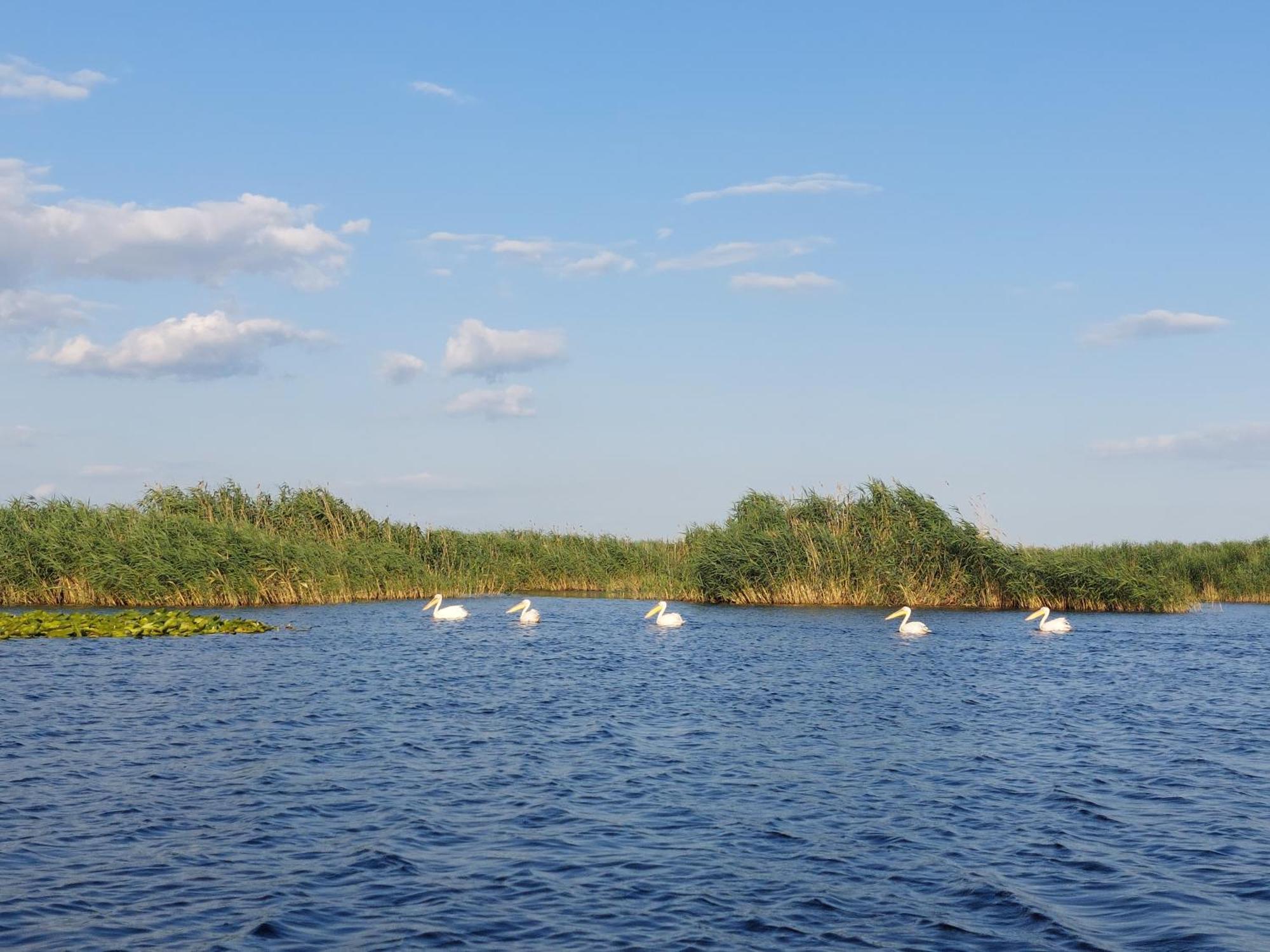 Pensiunea Paradiso Sarinasuf Екстериор снимка